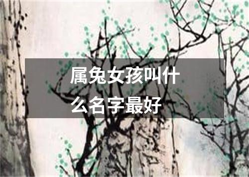 属兔女孩叫什么名字最好