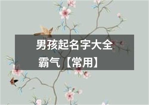 男孩起名字大全 霸气【常用】