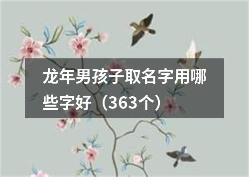 龙年男孩子取名字用哪些字好（363个）