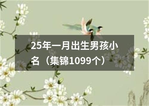 25年一月出生男孩小名（集锦1099个）