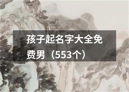 孩子起名字大全免费男（553个）