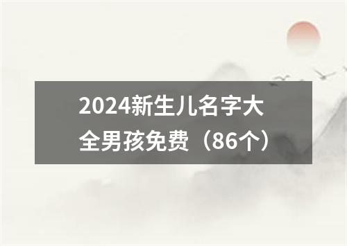 2024新生儿名字大全男孩免费（86个）