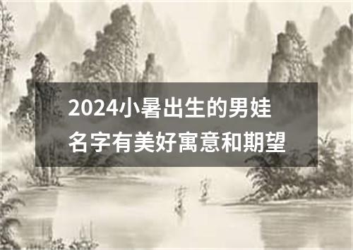 2024小暑出生的男娃名字有美好寓意和期望