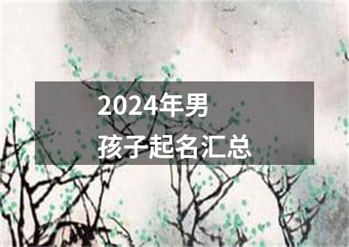 2024年男孩子起名汇总