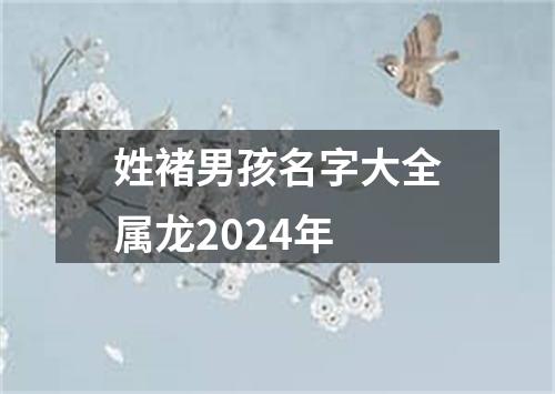 姓褚男孩名字大全属龙2024年