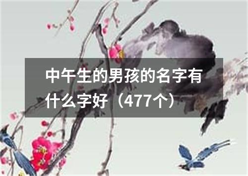 中午生的男孩的名字有什么字好（477个）