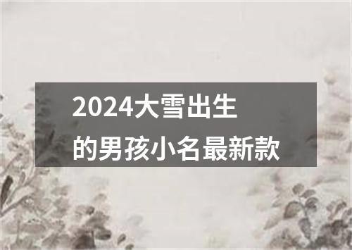 2024大雪出生的男孩小名最新款