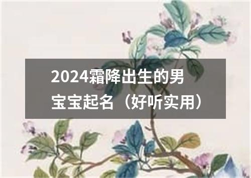 2024霜降出生的男宝宝起名（好听实用）