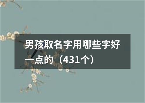 男孩取名字用哪些字好一点的（431个）