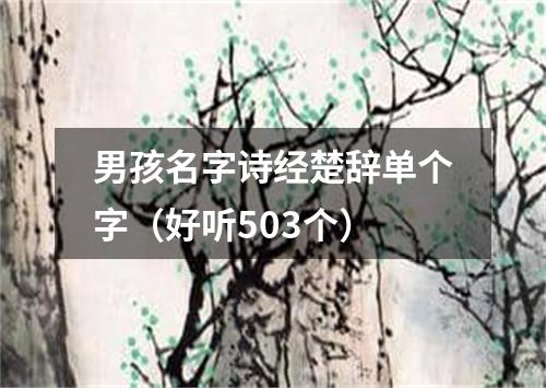 男孩名字诗经楚辞单个字（好听503个）