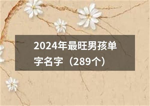 2024年最旺男孩单字名字（289个）