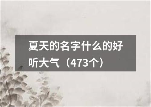 夏天的名字什么的好听大气（473个）