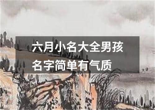 六月小名大全男孩名字简单有气质