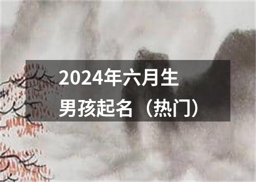 2024年六月生男孩起名（热门）