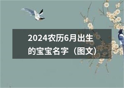 2024农历6月出生的宝宝名字（图文）