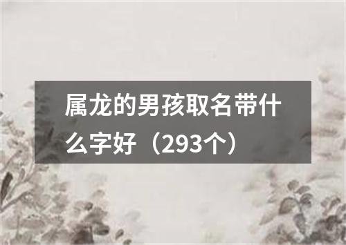 属龙的男孩取名带什么字好（293个）