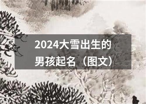 2024大雪出生的男孩起名（图文）