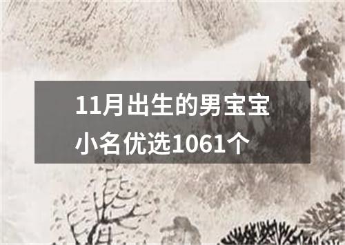 11月出生的男宝宝小名优选1061个