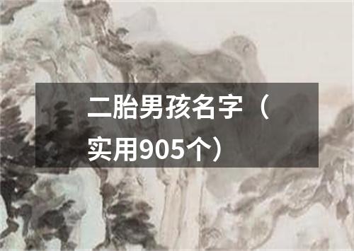 二胎男孩名字（实用905个）