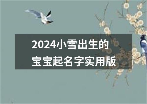 2024小雪出生的宝宝起名字实用版