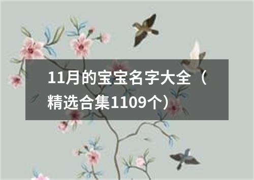 11月的宝宝名字大全（精选合集1109个）