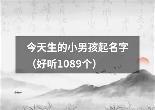 今天生的小男孩起名字（好听1089个）