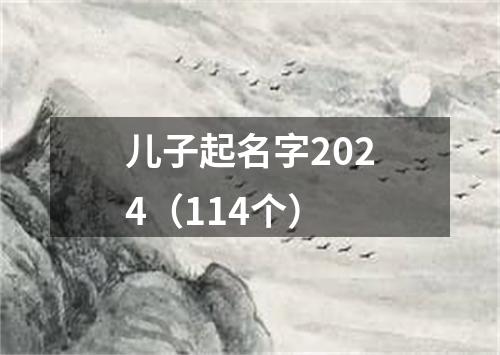 儿子起名字2024（114个）