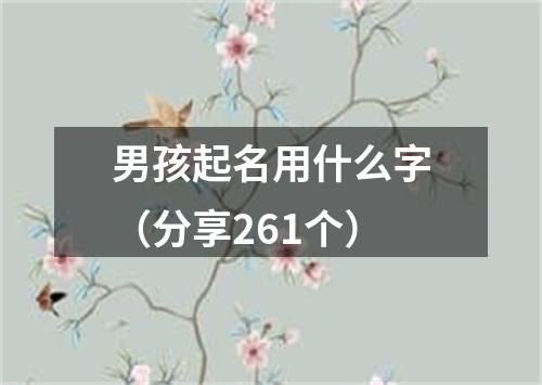 男孩起名用什么字（分享261个）