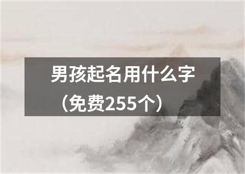 男孩起名用什么字（免费255个）