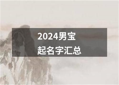 2024男宝起名字汇总