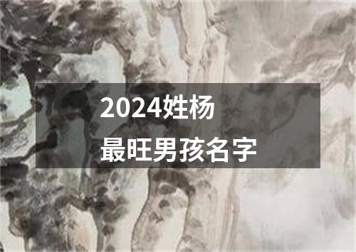 2024姓杨最旺男孩名字