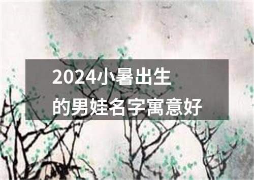 2024小暑出生的男娃名字寓意好