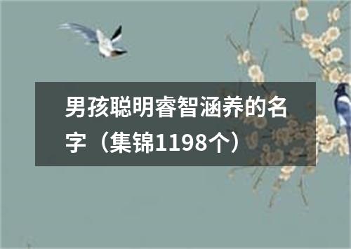 男孩聪明睿智涵养的名字（集锦1198个）