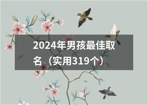 2024年男孩最佳取名（实用319个）