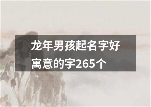 龙年男孩起名字好寓意的字265个