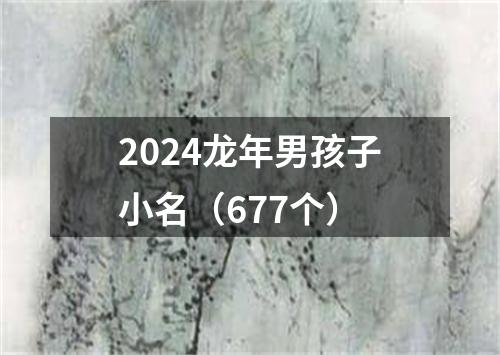 2024龙年男孩子小名（677个）