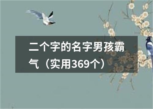 二个字的名字男孩霸气（实用369个）