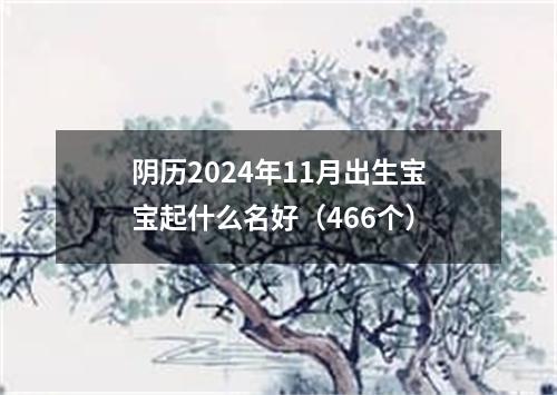 阴历2024年11月出生宝宝起什么名好（466个）