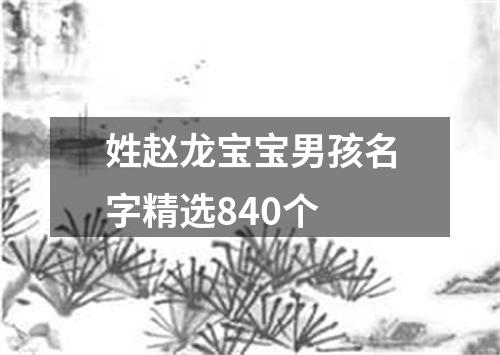 姓赵龙宝宝男孩名字精选840个