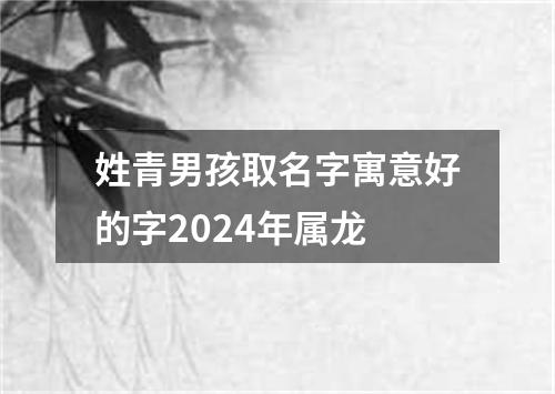 姓青男孩取名字寓意好的字2024年属龙