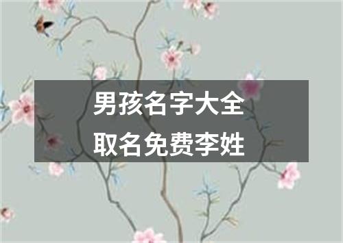 男孩名字大全 取名免费李姓