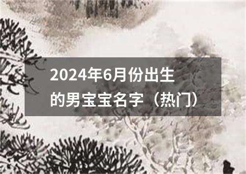 2024年6月份出生的男宝宝名字（热门）