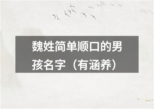 魏姓简单顺口的男孩名字（有涵养）