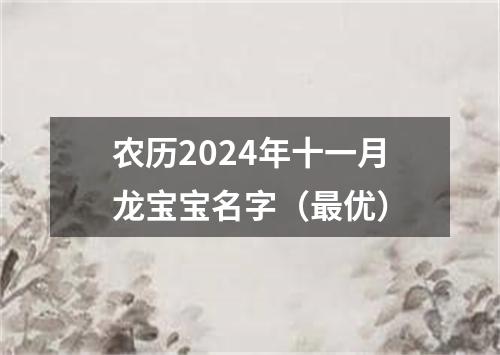 农历2024年十一月龙宝宝名字（最优）