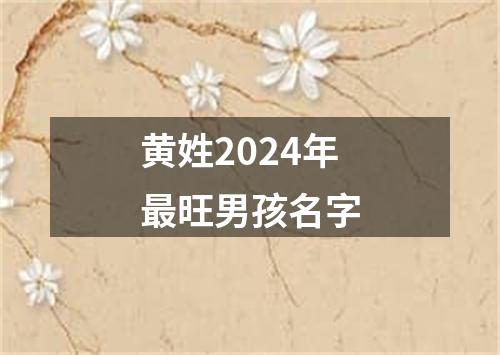 黄姓2024年最旺男孩名字