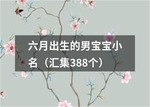 六月出生的男宝宝小名（汇集388个）