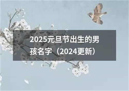 2025元旦节出生的男孩名字（2024更新）