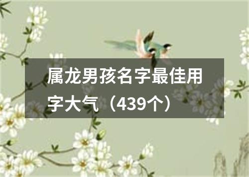 属龙男孩名字最佳用字大气（439个）