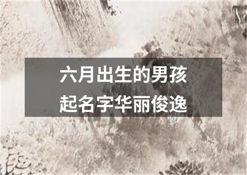 六月出生的男孩起名字华丽俊逸