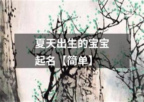 夏天出生的宝宝起名【简单】